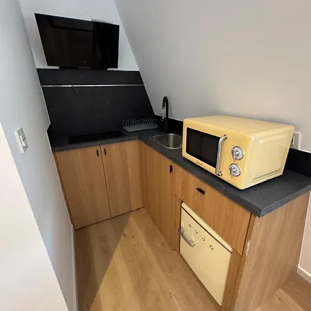 キャンプ場 Lobo Camp